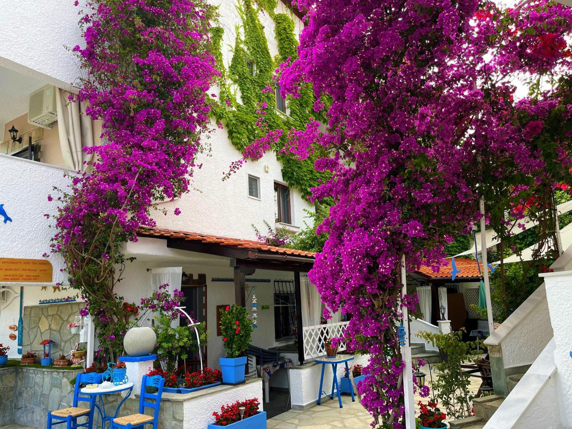Haus Niko Apartments And Suites Nea Poteidaia Zewnętrze zdjęcie
